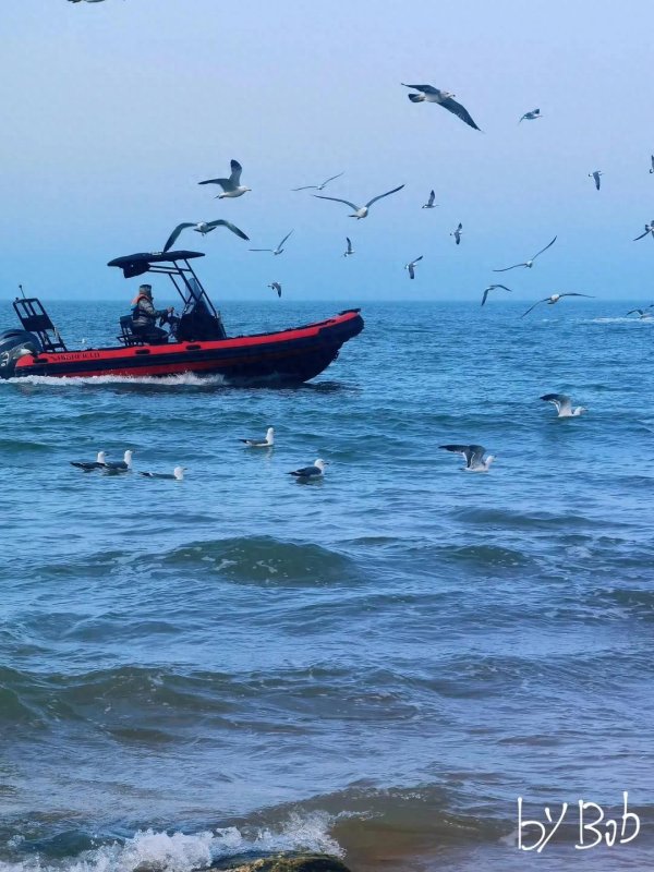 间群策略 迪卡侬中国也要卖30%股权: 多家PE竞购, 估值约100亿